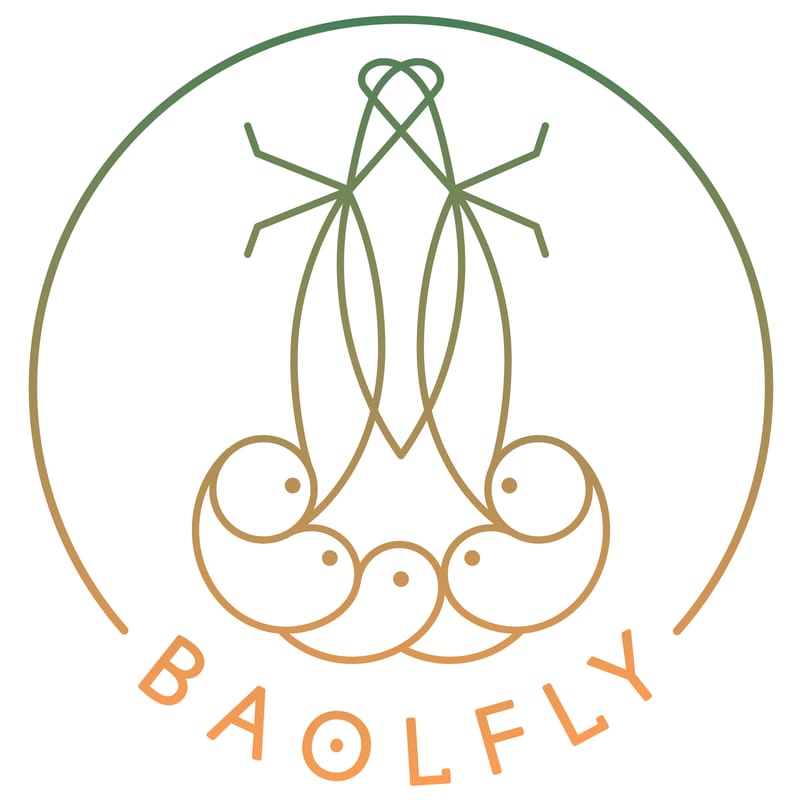 BAOLFLY SRL