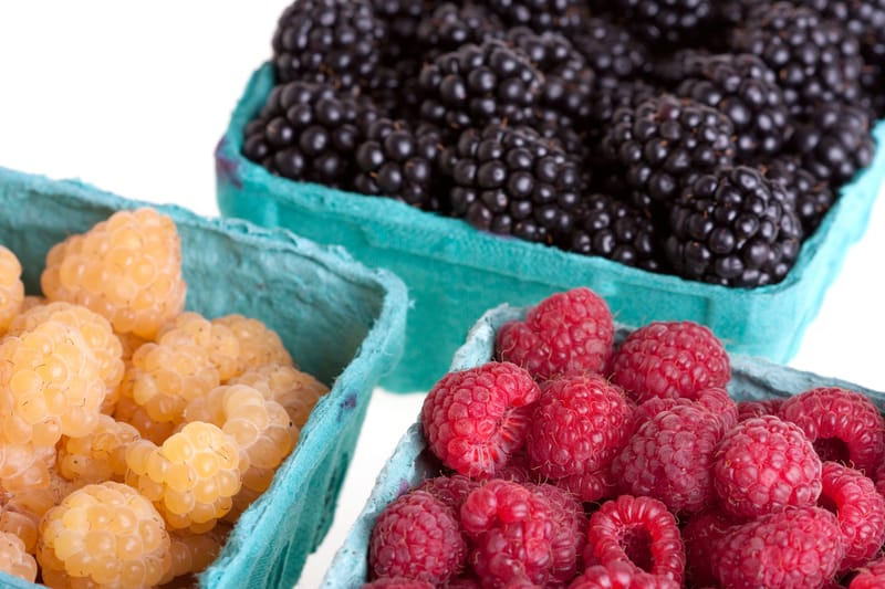 We offer Prime Ark, Caddo, Chester, and Natchez  Blackberries