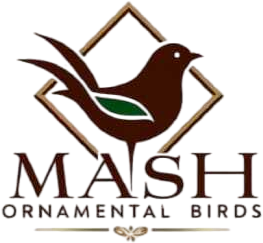Mash Ornamental Birds