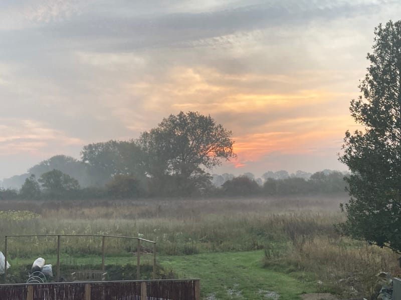 Om vores lille gård