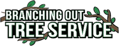 Tree Removal Long Island