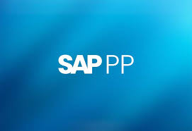 SAP PP Training
