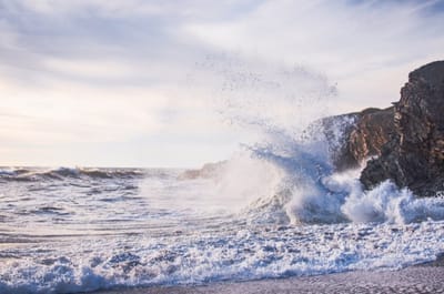 Écouter sa colère : un pas vers la Communication Non Violente