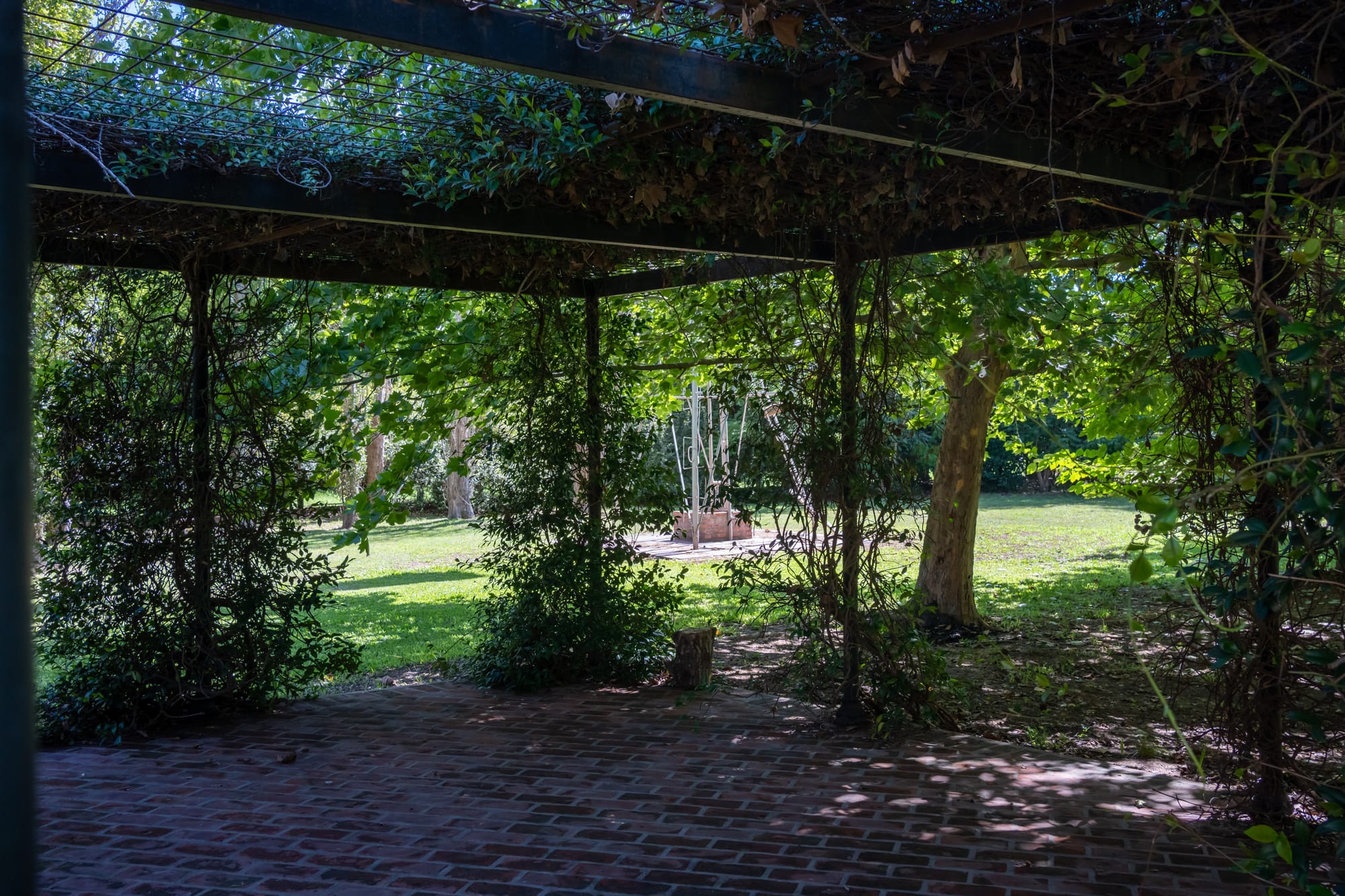 Pergola Viva