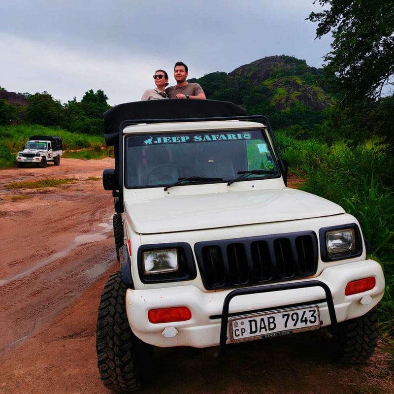 Jeep Safari to Minneriya National Park