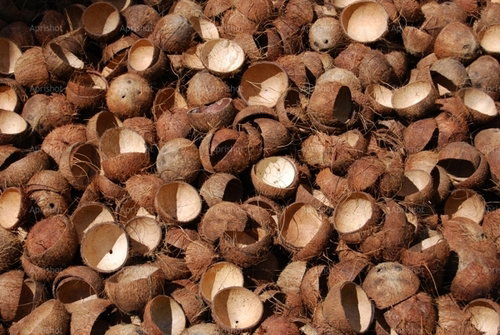 Coconut Shell