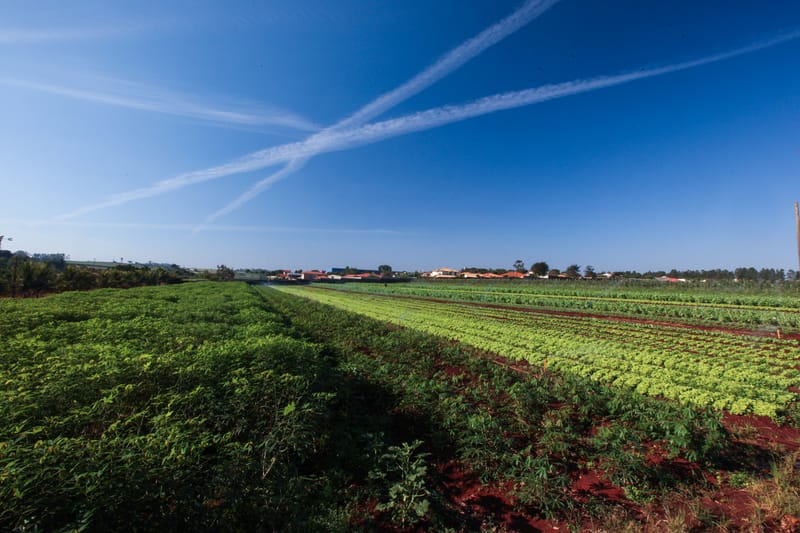 Effects on Agriculture