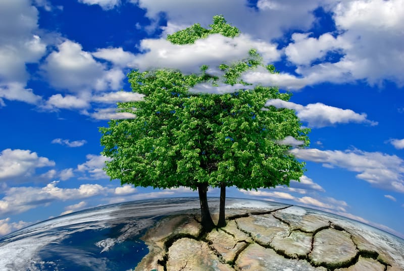 Effects on the Environment