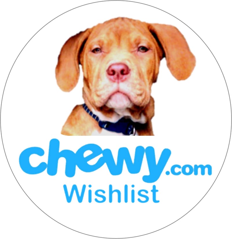 Chewy Wish List