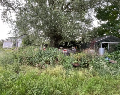 Hoe een tuin volledig opruimen?