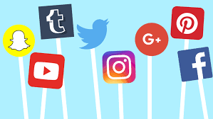 How Social Media Algorithms Shape Public Opinion