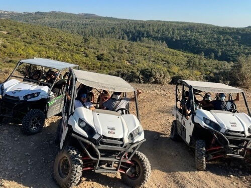 אטרקציות בכרמל