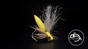 Fly of the Month: Yellow Sally