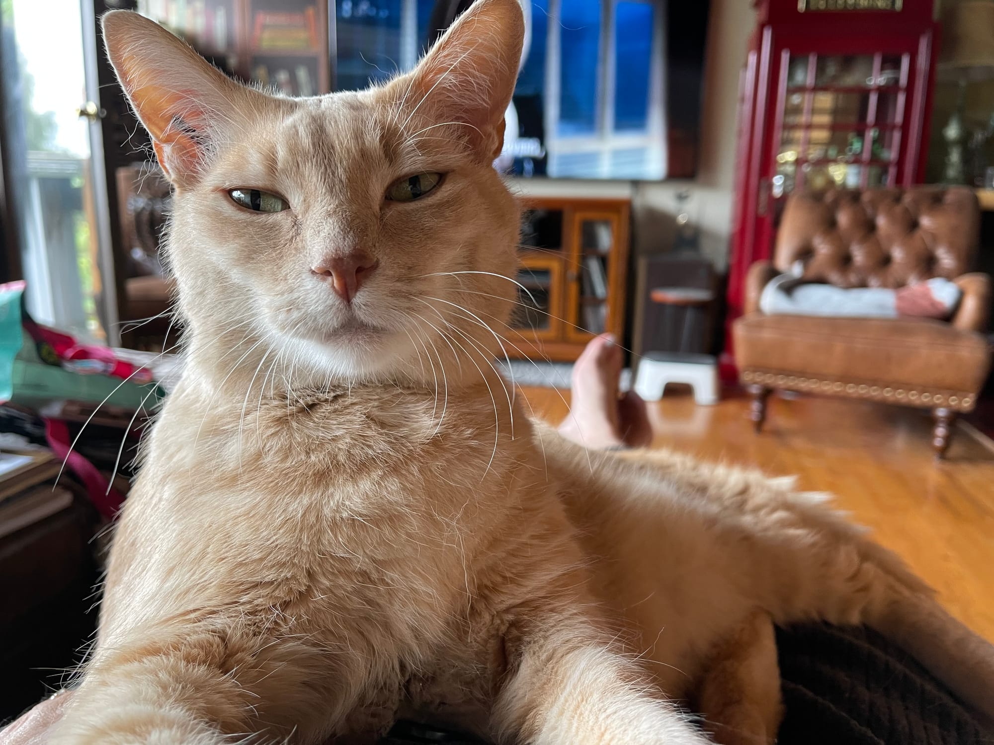 No items yet (future home for pet blankets, dishcloths, slippers. . . 