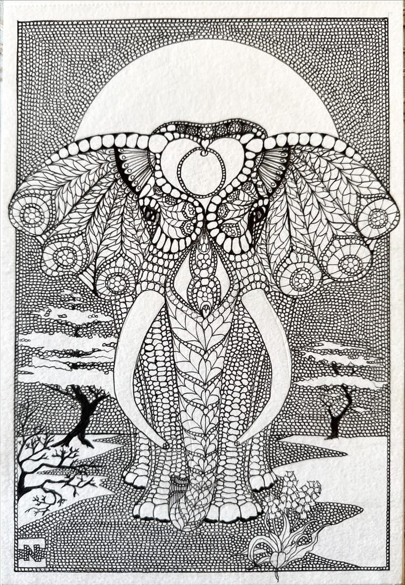 Tus és ceruza rajzok