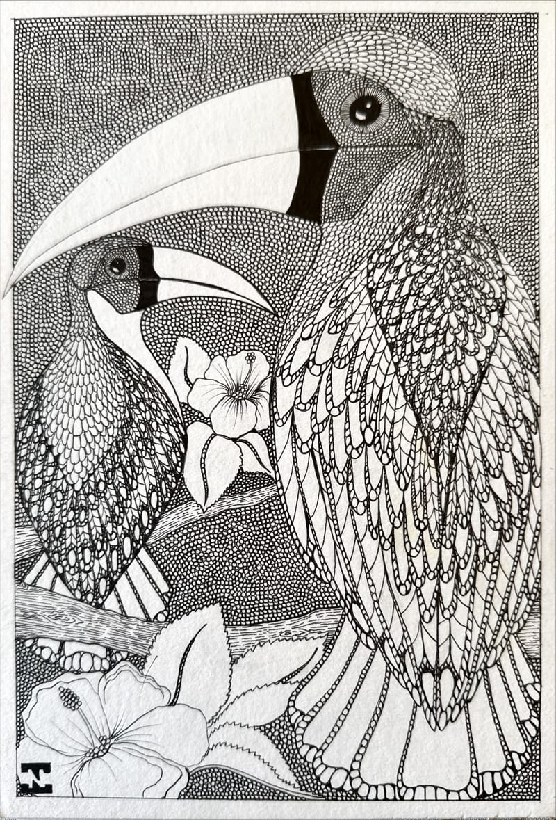 Tus és ceruza rajzok