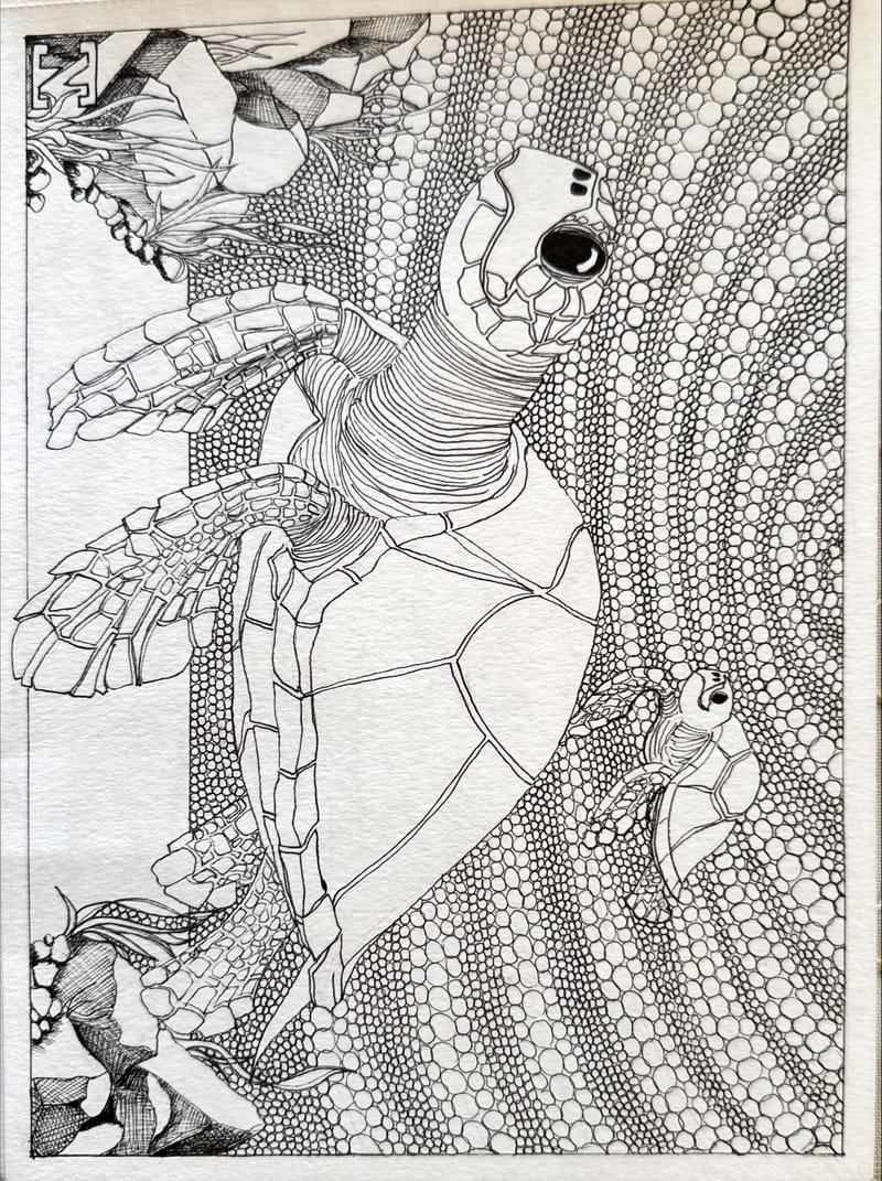 Tus és ceruza rajzok