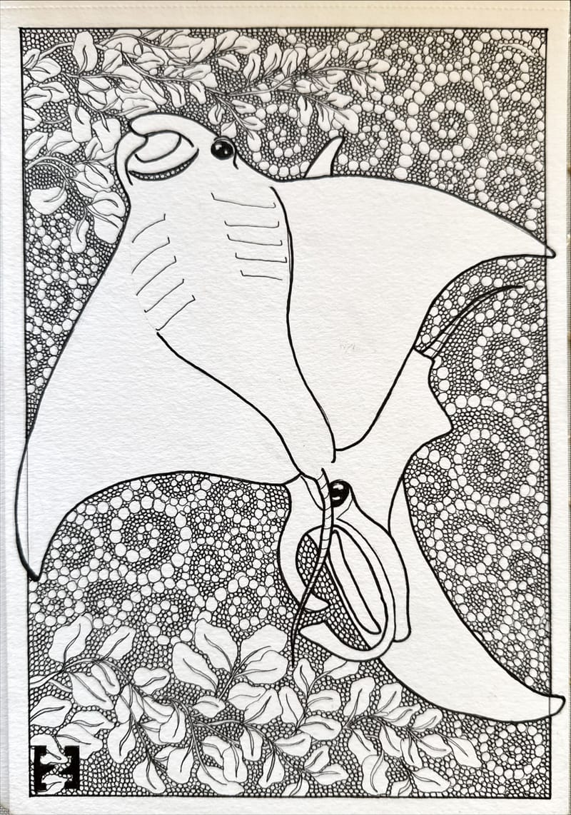 Tus és ceruza rajzok