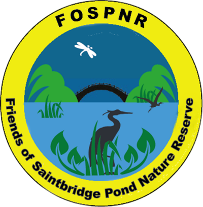 Friends of Saintbridge Pond Nature Reserve