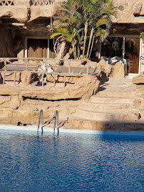 مشروع منتجع الكهوف سهل حشيش الغردقة مصر