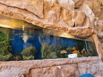 مشروع منتجع الكهوف سهل حشيش الغردقة مصر