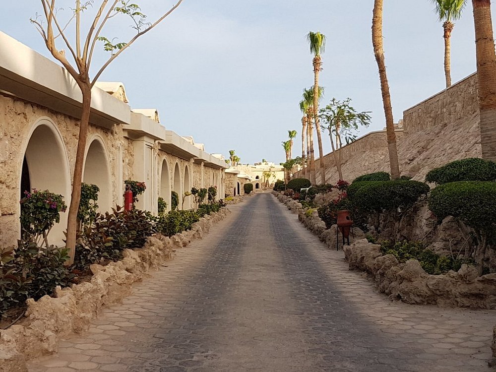 احدي مشاريعنا في مصر منتجع الباتروس