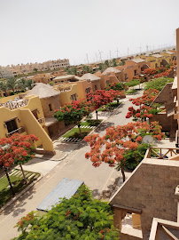 ماونتن فيو السخنة 1&2 العين السخنة القاهرة