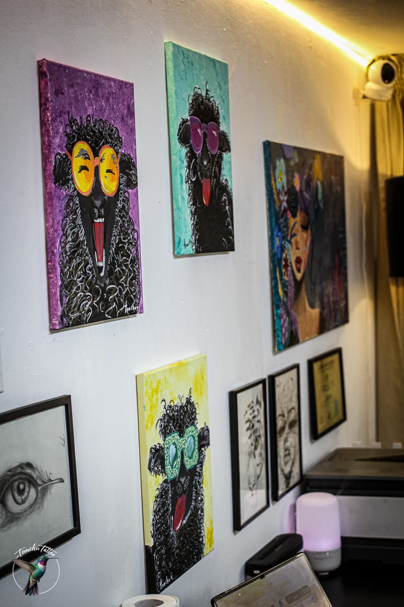 קצת מהסטודיו