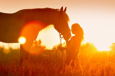 Idées de noms pour les chevaux