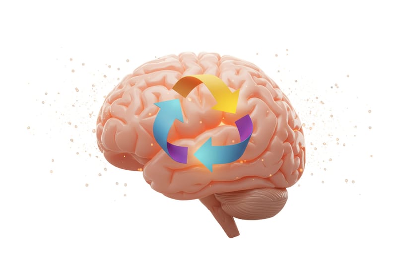 Neural Architecture & Dopaminergic Reset(Punar-Nirman)