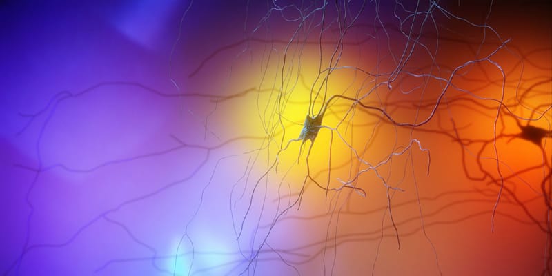 Autonomic Nervous System Regulation(Samyama)