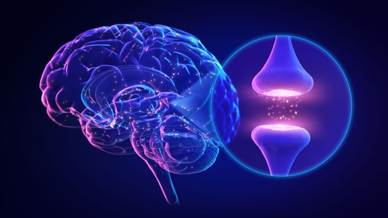 Neuroplasticity & Brain Repair