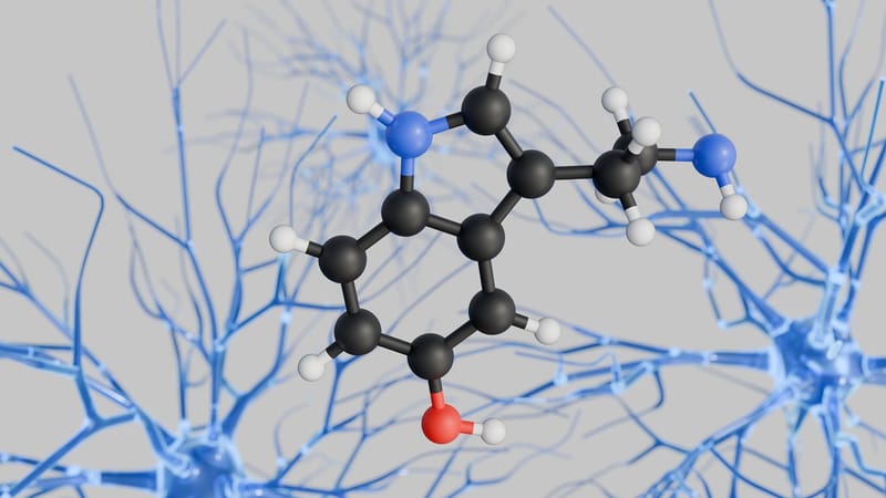Dopamine Pathway Recalibration