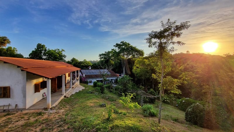 Transição urbano-rural: reflexões para ser semente