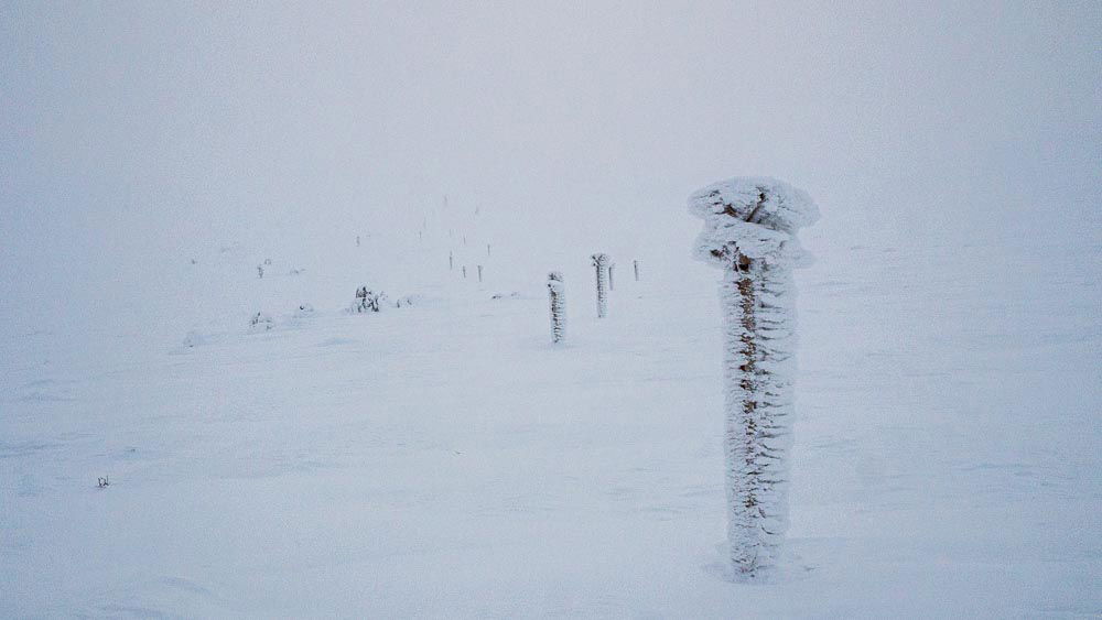 Lumituisku tunturissa, etualalla tykkylumen peittämä reittiviitta. 