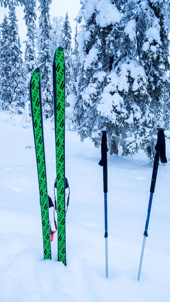 Hangessa pystyssä suksipari, joiden pohjaan on kiinnitetty kirkkaan vihreät nousukarvat. 