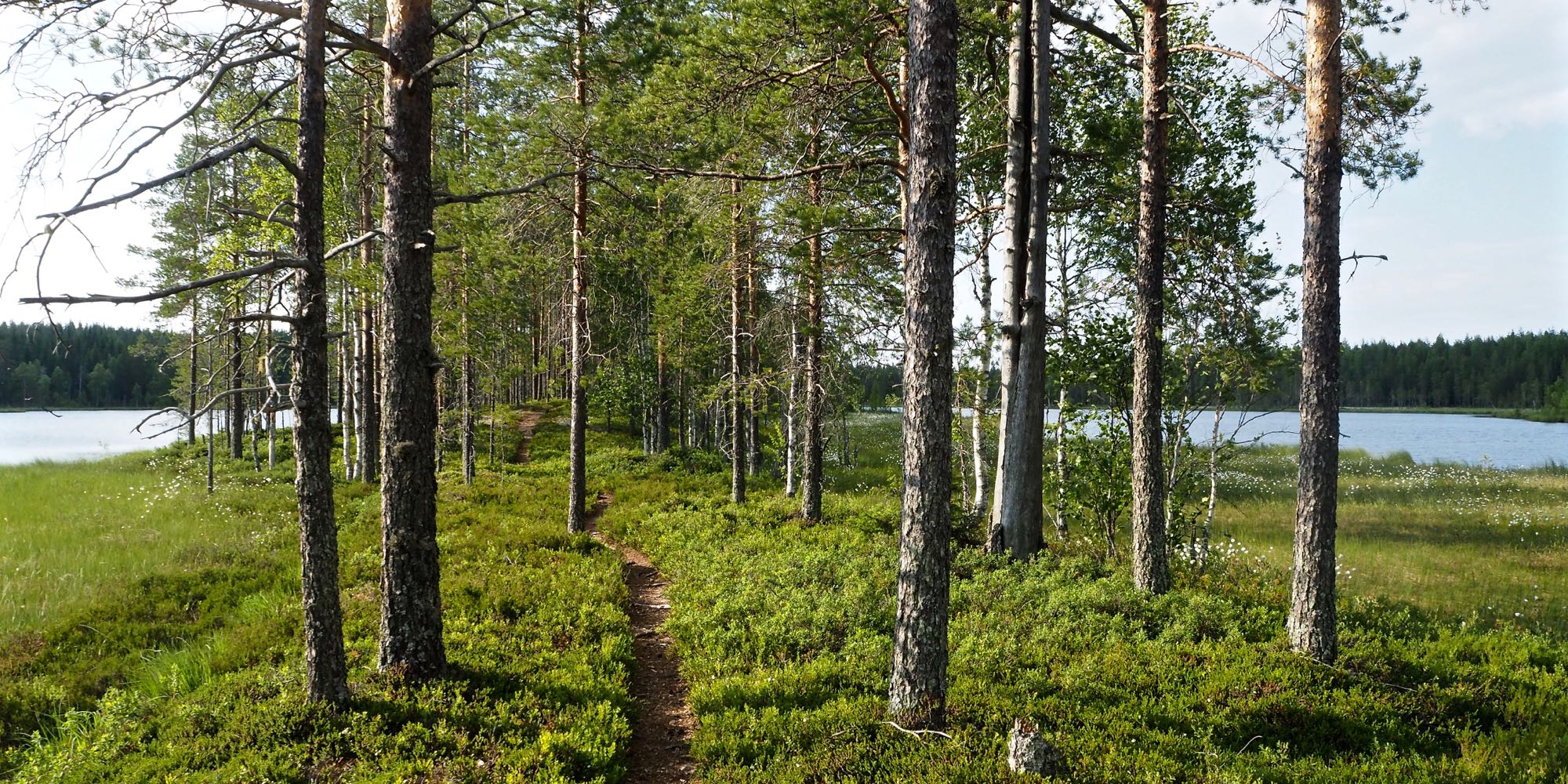 Kuvassa kapea kannas, jonka keskellä kulkee polku ja molemmilta puolilta näkyy järvi.