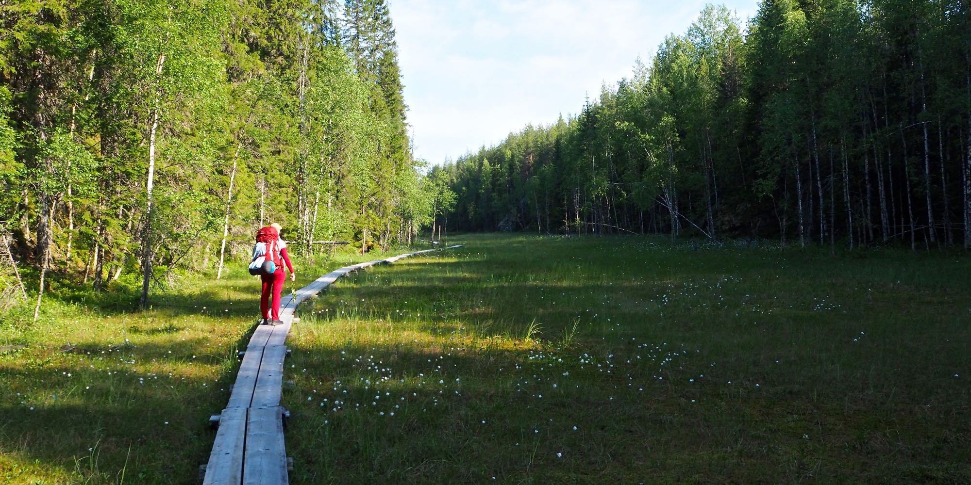 Puna-asuinen retkeilijä seisoo suon laidalla aamuaurigons valossa. 