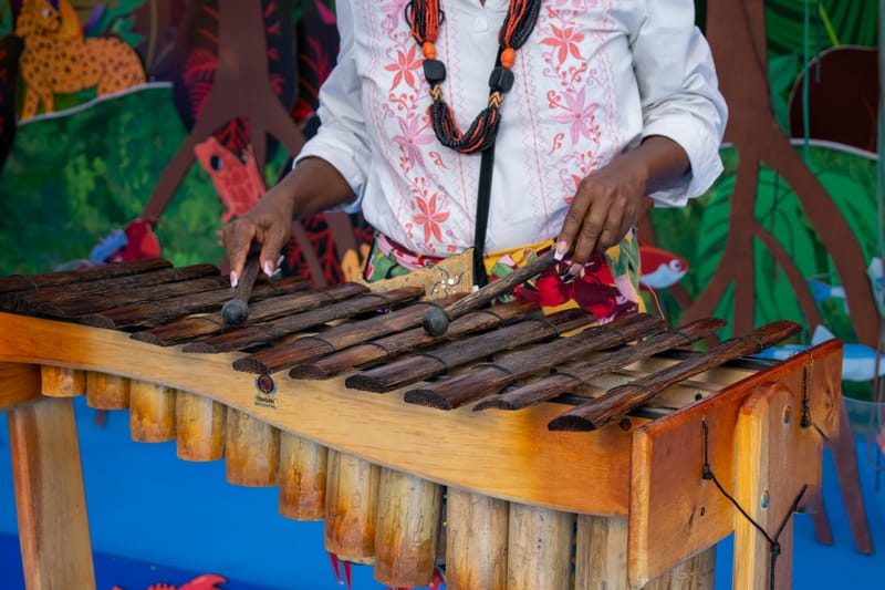 The Diverse Musical Tapestry of Africa