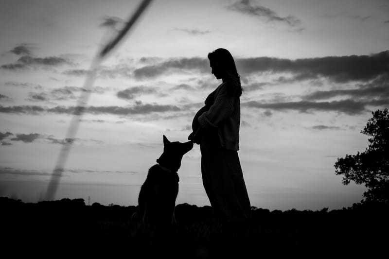 Animaux de compagnie
