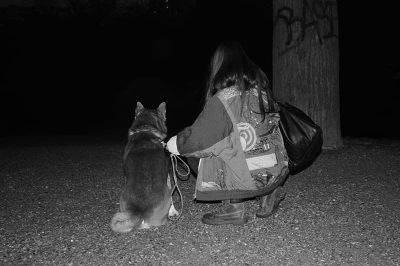 Animaux de compagnie