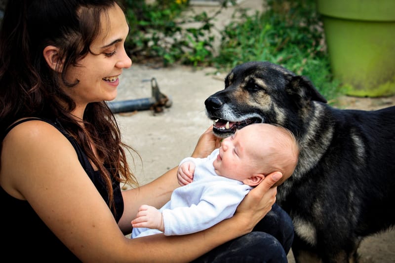 Famille 