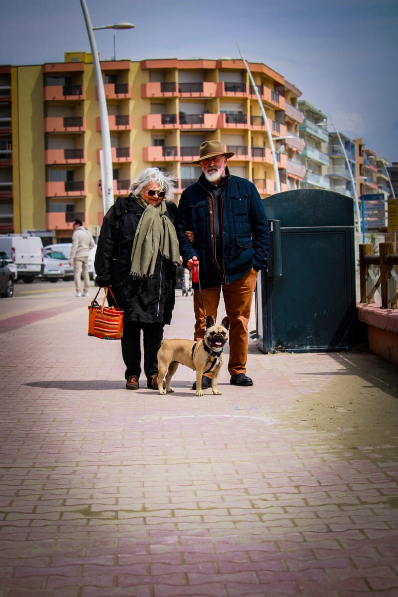 Animaux de compagnie