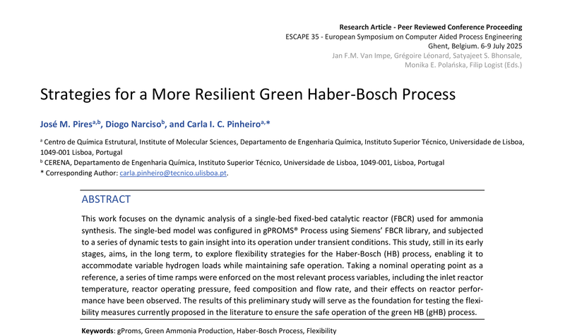 Strategies for a More Resilient Green Haber-Bosch Process
