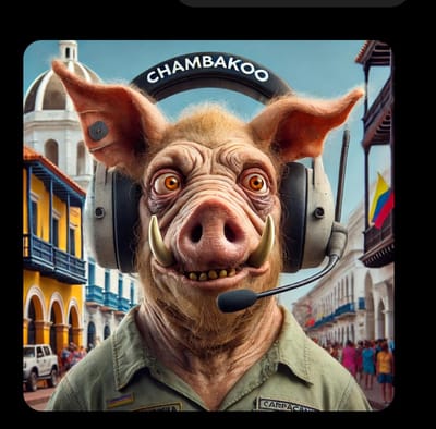 El Cerdo Culinario de Rafael Ruiz