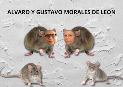 LOS MORALES DE LEÓN: DOS ROEDORES EN BUSCA DE ESCOMBROS