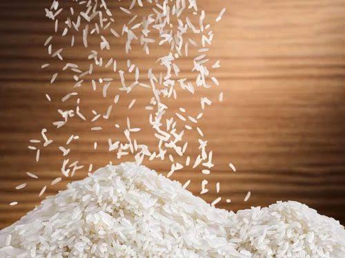 Toward a Greener Future: AfricaRice Pioneers Eco-Innovations for Sustainable Rice Self-Sufficiency in Africa