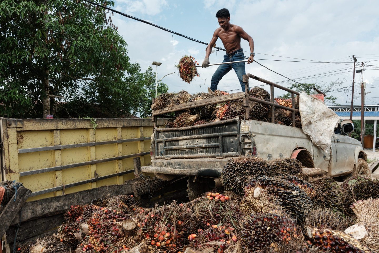 Agrifood giant Wilmar hands over almost two-thirds of its annual profit to Indonesia as ‘security deposit’ for palm oil corruption case