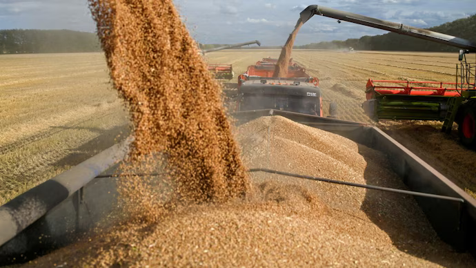 Tunisia’s Wheat Imports: A Gateway to Global Agricultural Opportunities