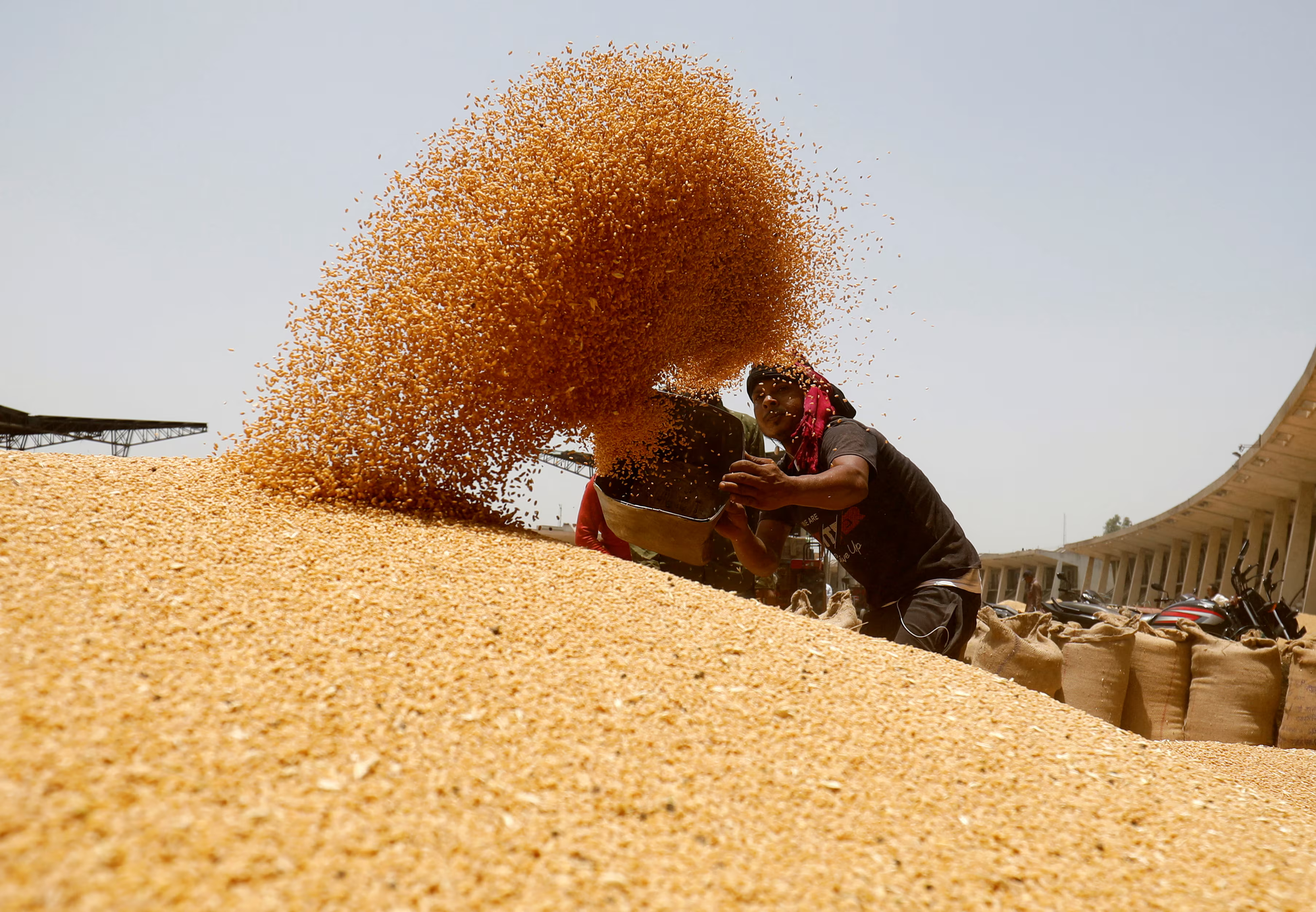 Africa - Wheat - Market Analysis, Forecast, Size, Trends and Insights Please mention the Source: https://www.indexbox.io/blog/wheat-africa-market-overview-2024-6/